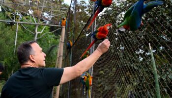 Prefeitura de Goiânia instala ponto de vacinação no Zoológico e amplia acesso à imunização