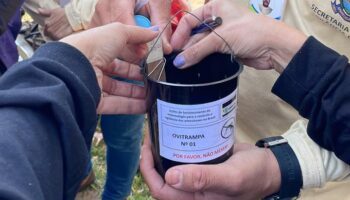 Prefeitura de Aparecida intensifica combate ao Aedes aegypti com o uso de armadilhas