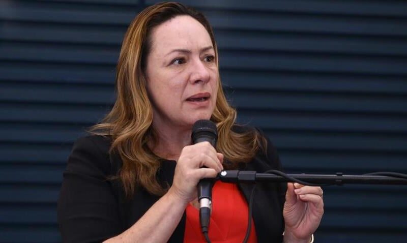 Projeto de Adriana Accorsi permite consulta a condenações por violência doméstica