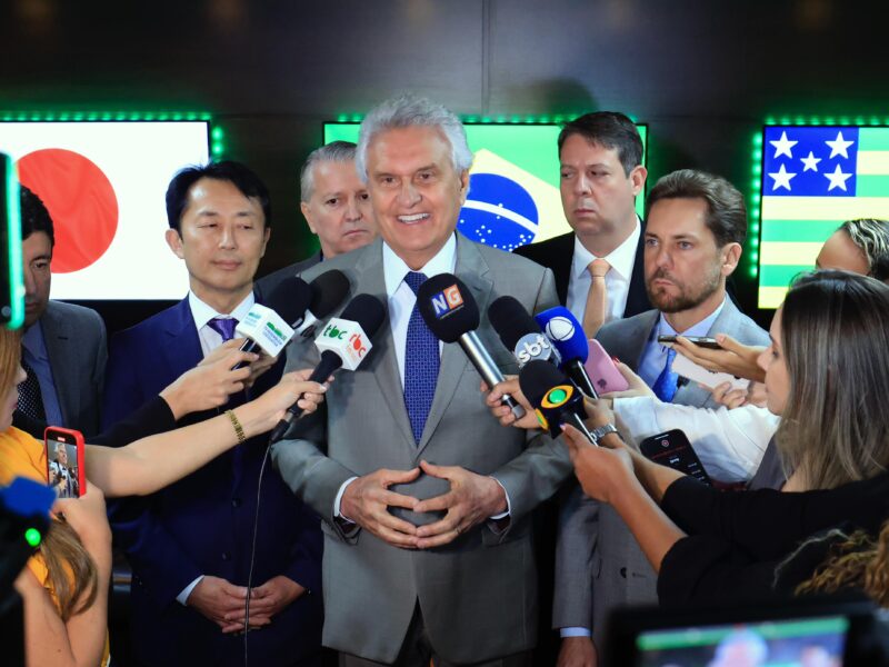 Goiás e Japão avançam em cooperação para exploração e processamento de terras raras
