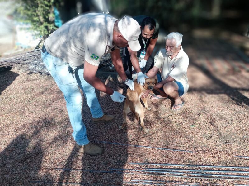 Prefeitura de Aparecida inicia Campanha de Vacinação Antirrábica; Dia D será em setembro