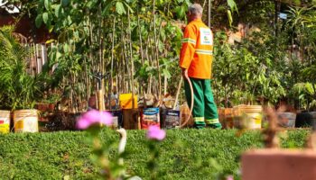 Comurg aprova reestruturação organizacional e promove eficiência