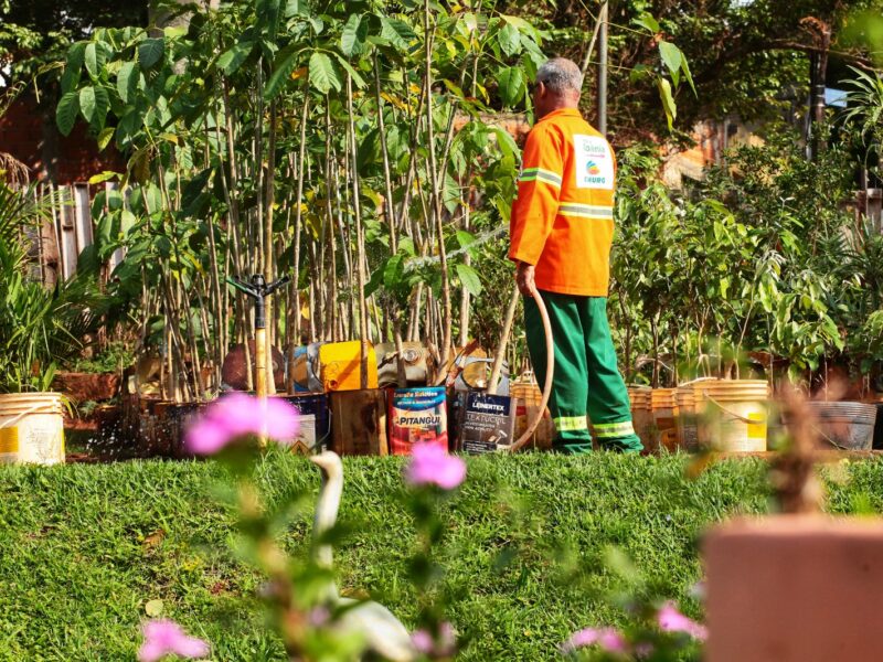 Comurg aprova reestruturação organizacional e promove eficiência