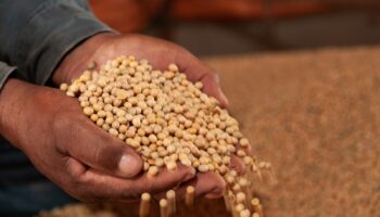 Avanços de Goiás são destaques no programa Globo Repórter