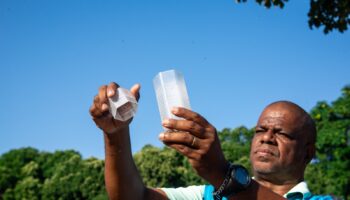 Governo de Goiás participa da soltura de mosquitos Aedes aegypti que não transmitem doenças