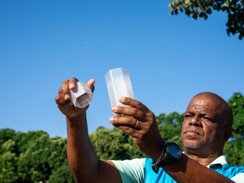 Governo de Goiás participa da soltura de mosquitos Aedes aegypti que não transmitem doenças
