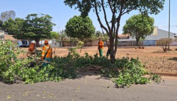 Prefeitura de Goiânia realiza poda preventiva em mais de 1,3 mil árvores na Região Oeste