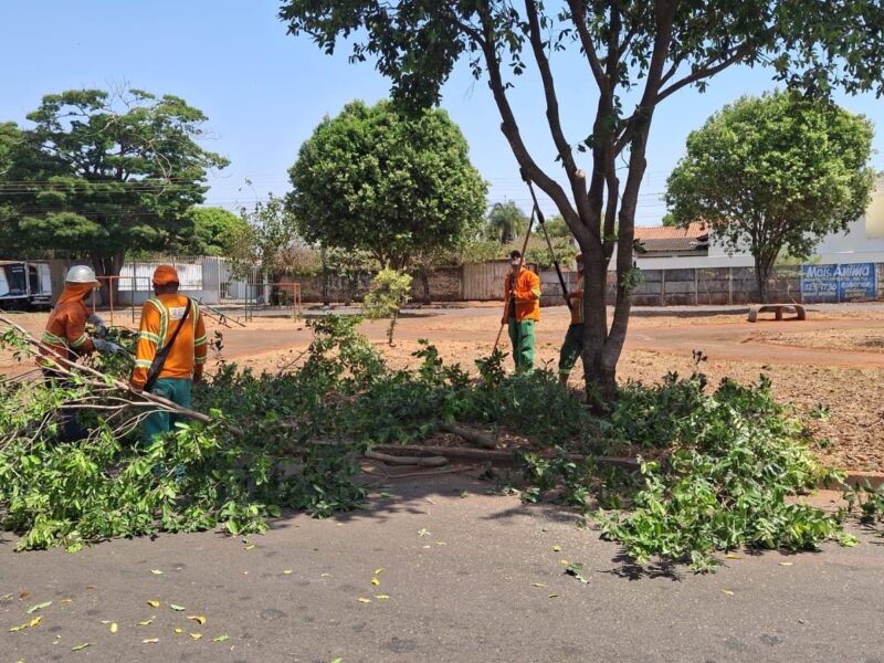 Prefeitura de Goiânia realiza poda preventiva em mais de 1,3 mil árvores na Região Oeste