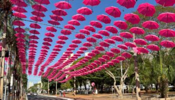 Praça Tamandaré será palco de atividades do Outubro Rosa neste domingo