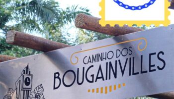 Goiânia recebe selo nacional com projeto Caminho dos Bougainvilles