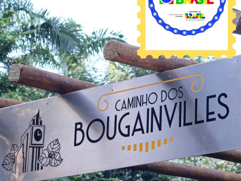 Goiânia recebe selo nacional com projeto Caminho dos Bougainvilles