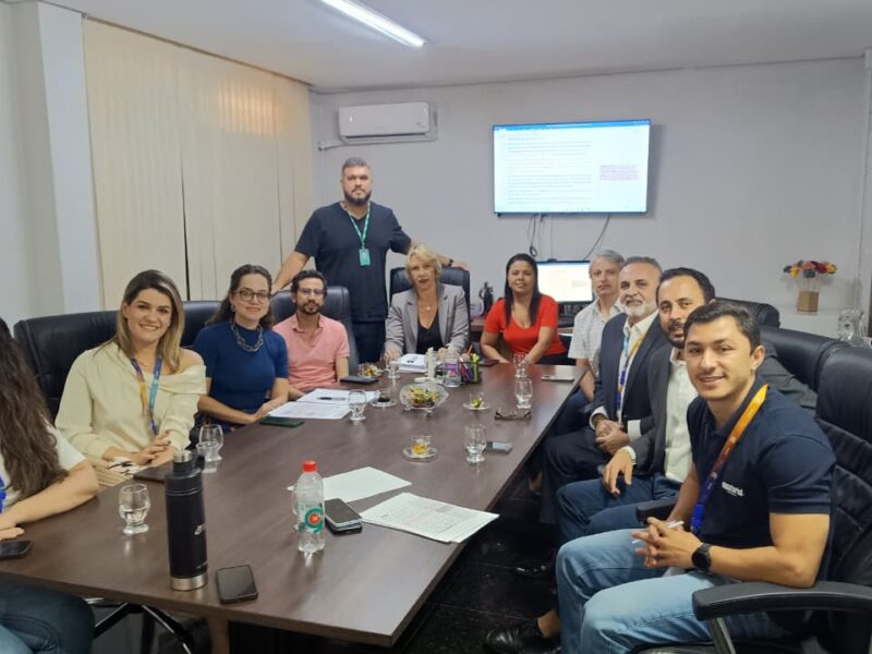 Amma e Equatorial alinham novos critérios para podas de árvores que afetam fiações elétricas