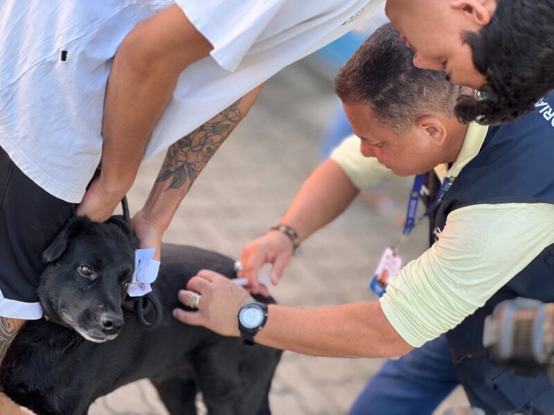 Prefeitura de Goiânia reforça vacinação antirrábica em dois pontos da capital neste sábado (8/11)