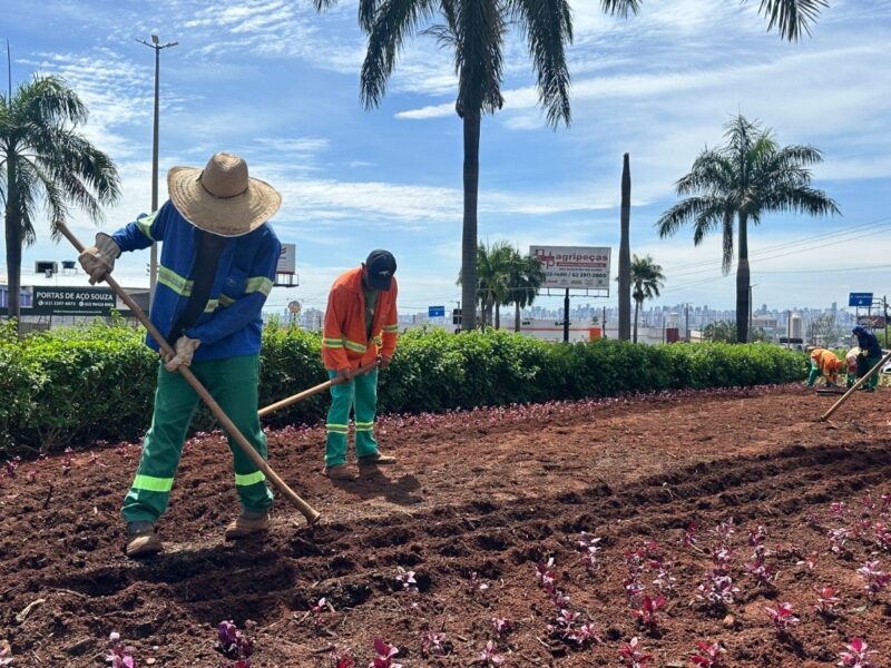 Comurg prevê plantio de 76,8 mil mudas em canteiros de praças e vias de Goiânia até fim de dezembro