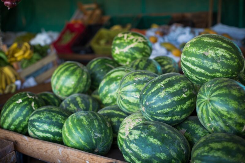 Goiás é a terra da melância