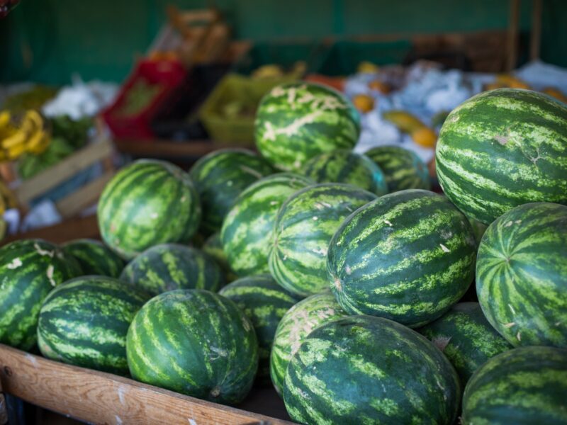 Goiás é a terra da melância