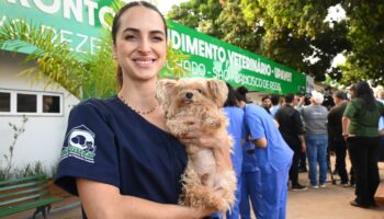 UPAVet registra mais de mil atendimentos de emergência em 2025, com cirurgias e suporte clínico