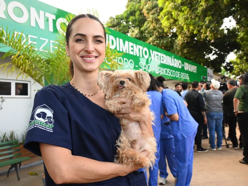 UPAVet registra mais de mil atendimentos de emergência em 2025, com cirurgias e suporte clínico