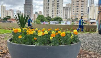 Comurg revitaliza paisagem da Avenida Jamel Cecílio com novas áreas verdes