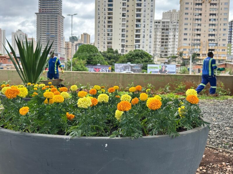 Comurg revitaliza paisagem da Avenida Jamel Cecílio com novas áreas verdes