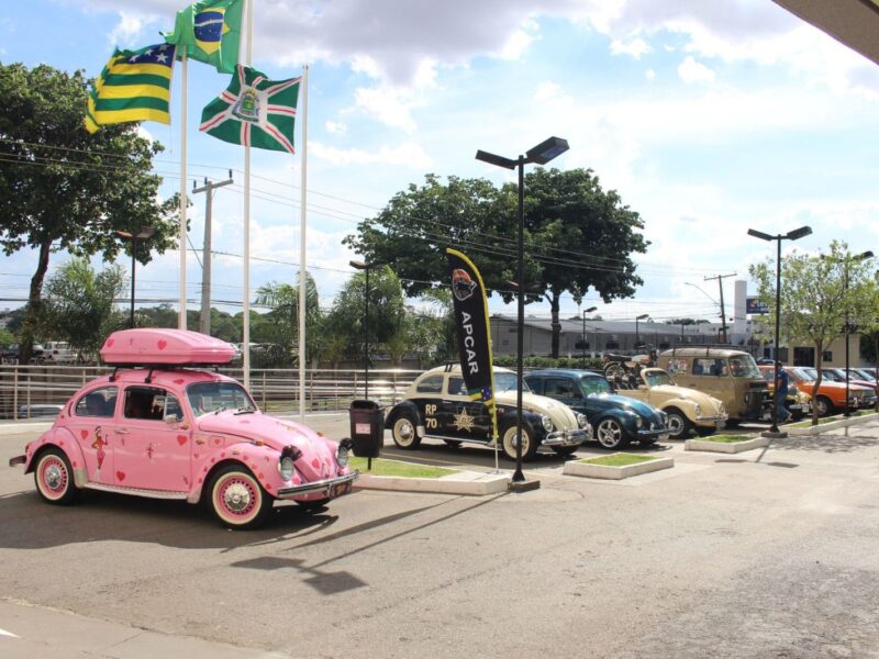 Hecad promove exposição de carros antigos para pacientes internados