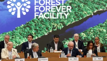Fundo para florestas tropicais atinge aporte de US$ 5,5 bilhões