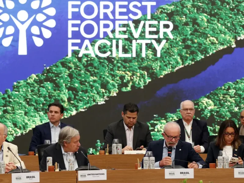 Fundo para florestas tropicais atinge aporte de US$ 5,5 bilhões