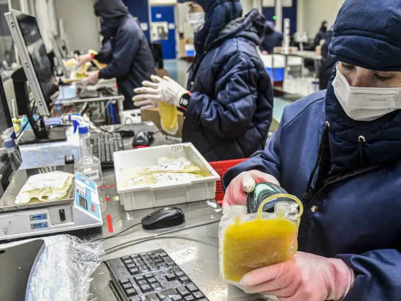 © Hemobrás/Divulgação